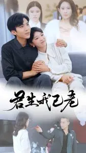 时光中的永恒爱情:《君生我已老》浪漫解析